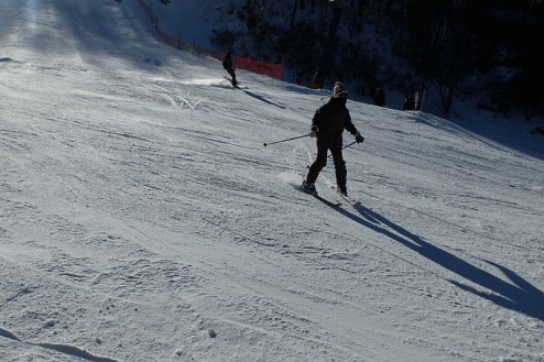 ski140108-1